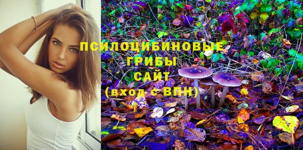 ешки Михайловка