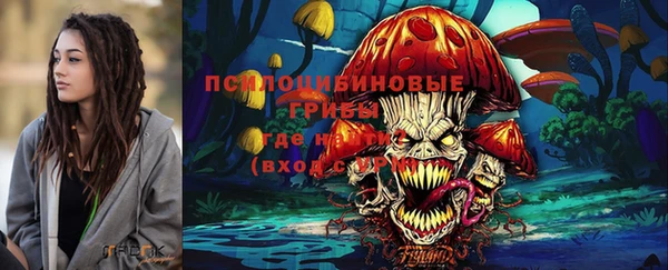 дурь Наволоки