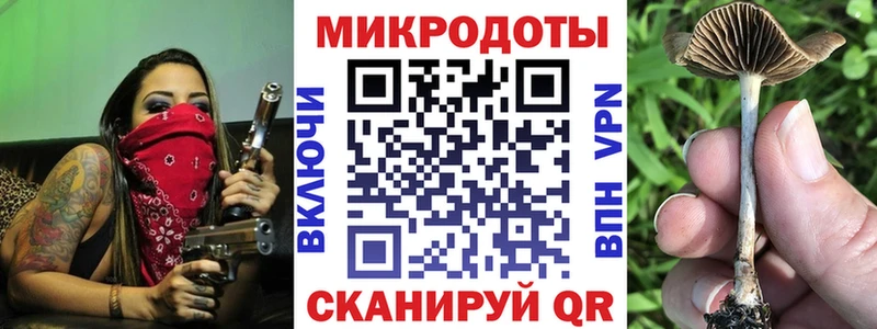 Псилоцибиновые грибы ЛСД Приморско-Ахтарск